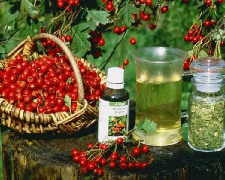 Folk remedies to treat prostatitis
